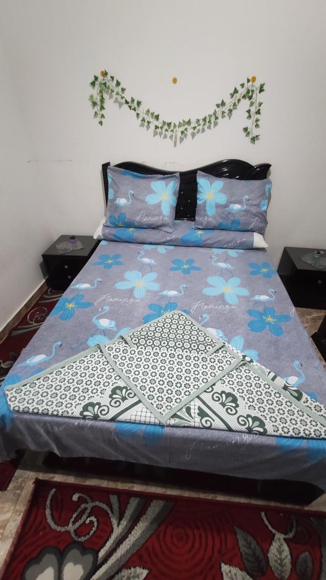 The Flowers Apartment Александрия Екстериор снимка